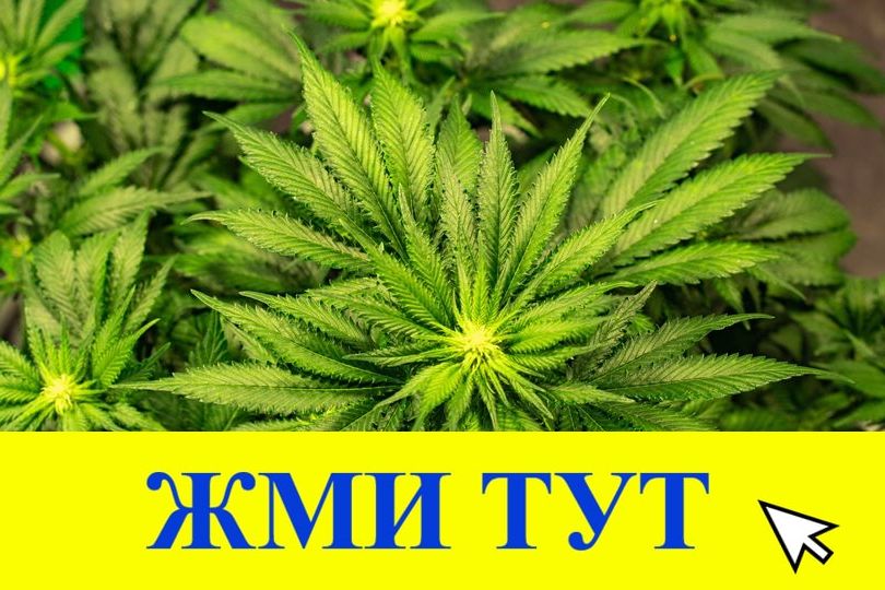 Купить наркотики в Тихорецке